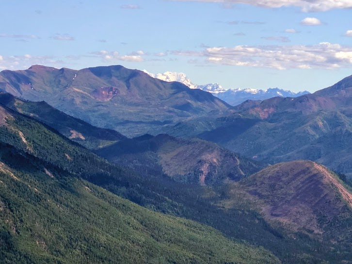 Mount Healy Overlook Trail is a must when visiting Denali National Park. 