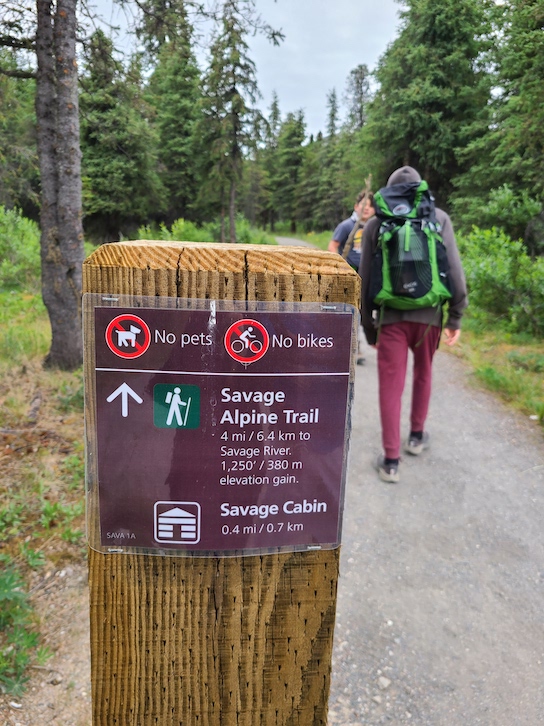 Not to be missed Savage Alpine Trailhead during your visit to Denali National Park