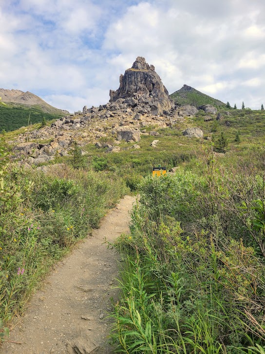 Savage River Loop Trail accessing Savage Alpine Trailhead at Denali National Park