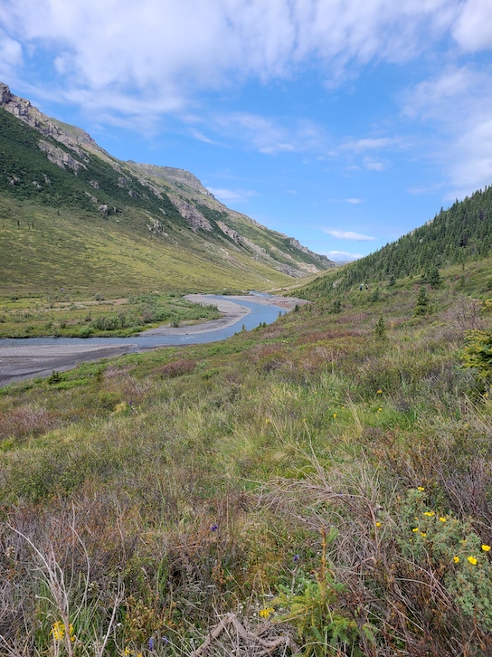 Savage River viewpoint