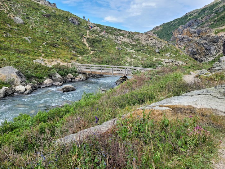 The Savage River Loop trail is a must see experience when visiting Denali National Park