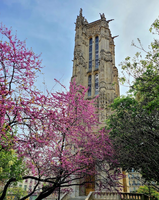 Paris in April brings out the cherry blossoms