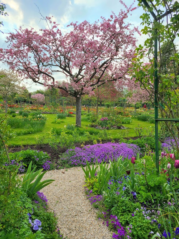 Enjoy a day trip to Giverny from Paris in the spring to see the cherry tree blossoms. 