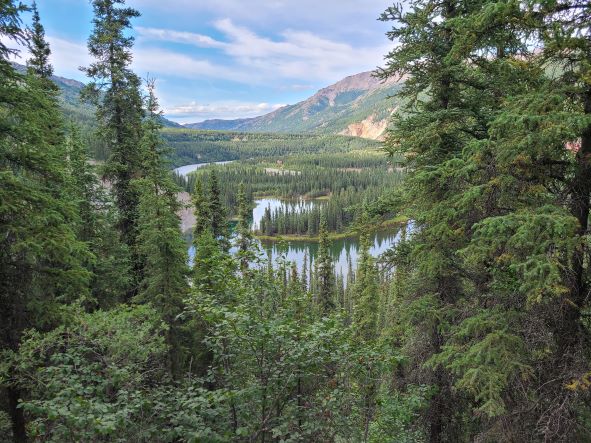 visiting Denali National Park is a family vacation top 10 moment