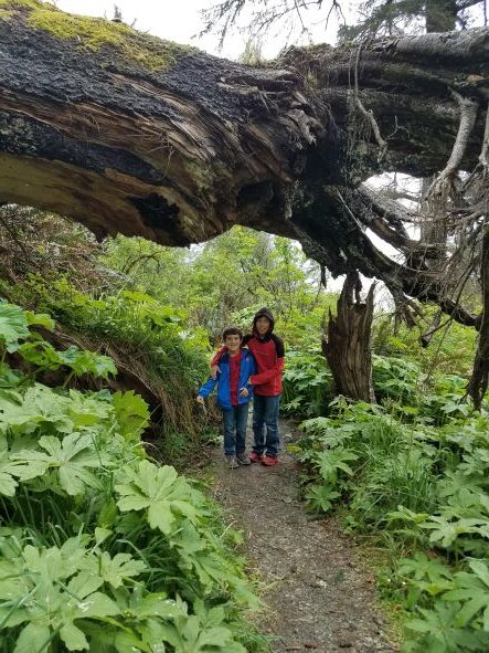 Northern California hikes definitely make the top 10 family vacation list