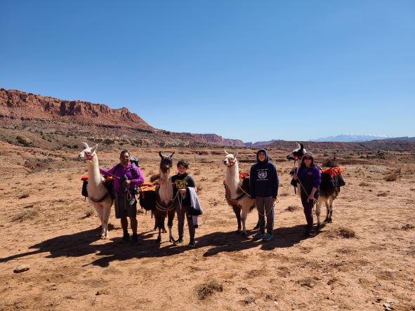 a unique experience for a family vacation - trekking with llamas