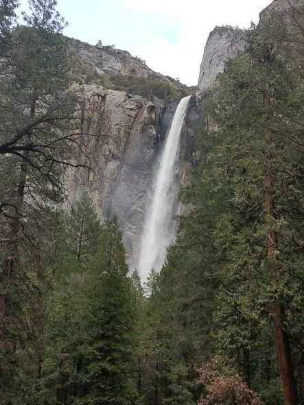 Yosemite National Park is a top 10 family vacation spot