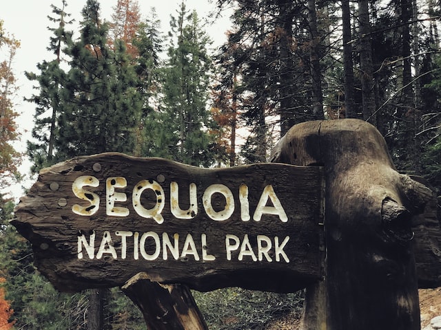 Sequoia and Kings Canyon National Parks best things to do 