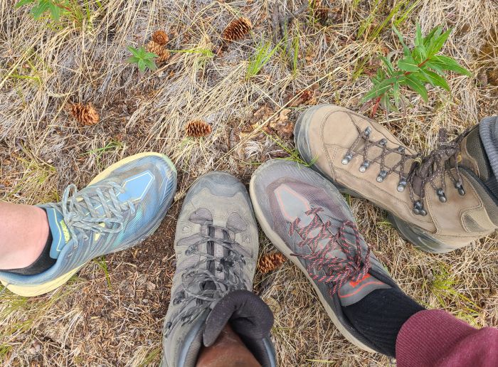 Hiking in Denali National Park during the summer