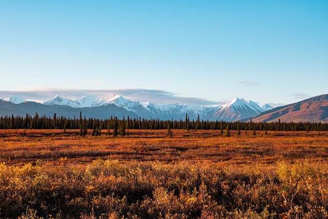 Photo by Jacob Vizek Alaska's summer climate