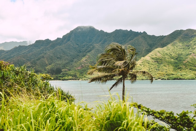 Photo by Katie Musial Maui view with volcanic landscape in backdrop